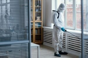 common mold problems