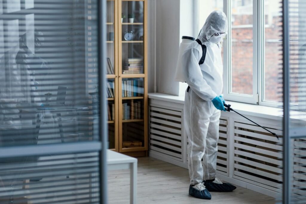 how mold can hide in plain sight