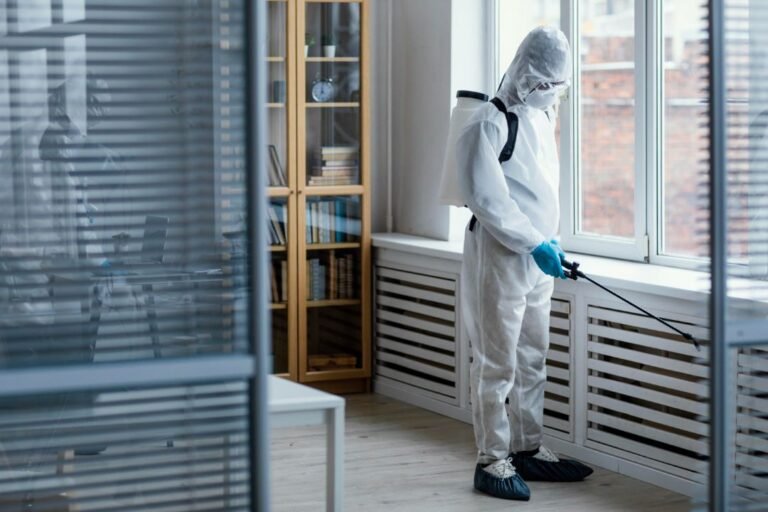 how mold can hide in plain sight
