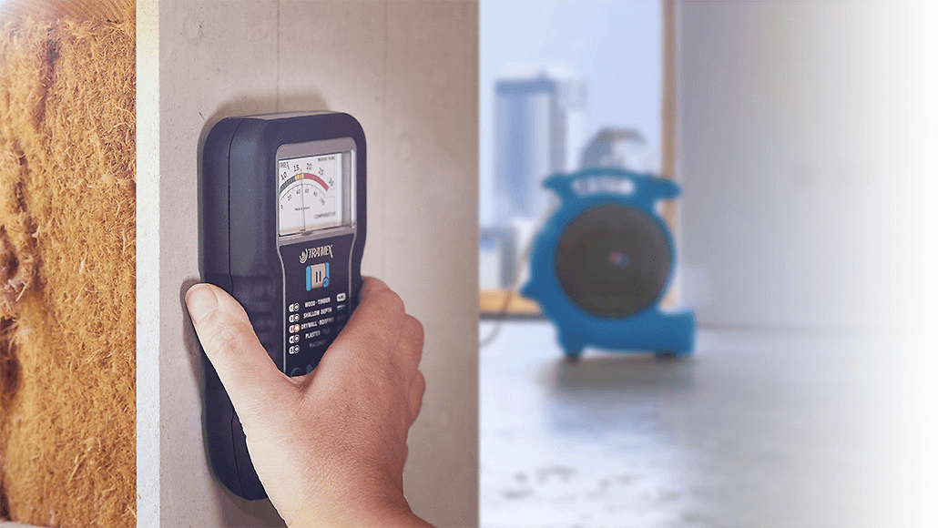 Water intrusion documentation and moisture mapping inside a residential property