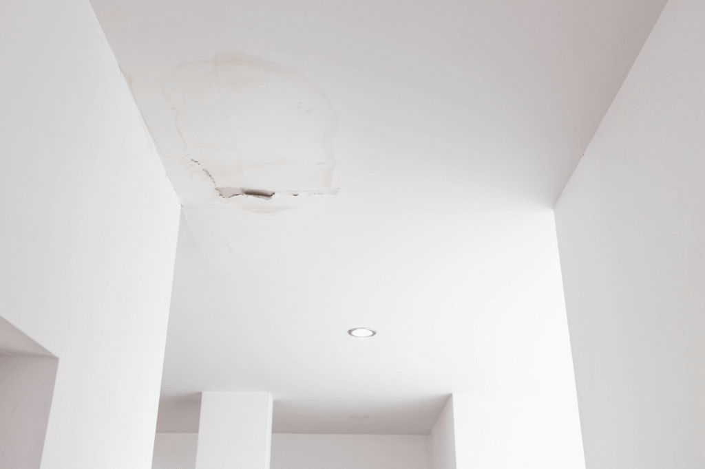 Water-stained ceiling and drywall damage caused by an ice dam leak and concealed moisture intrusion within a residential property.